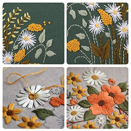 FEPITO 2 Sets Embroidery Starter Kit with Pattern and Instructions