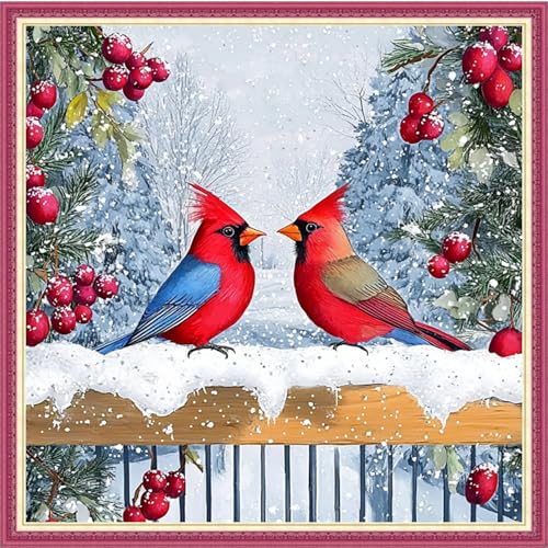 Dooxvey Counted Cross Stitch Kits for Adults 11CT Printed Cross-Stitch Patterns Cross Stitching Embroidery Kit Stamped or Counted Needlepoint Kits-Snowy Scenery Birds 18×18 inch - color: ColorDIY13