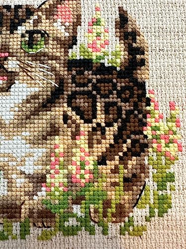 RIOLIS 2119 Bengal Kitten Counted Cross Stitch Kit 6 x 6 in - style: Bengal Kitten 2119
