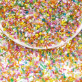 200g Glass Seed Beads Bulk Crystal Tube Bugle Beads for DIY Necklaces Bracelet Earring Crafting Jewelry Making Kit Supplies (Mixed Color) - color: Mixed Color 01