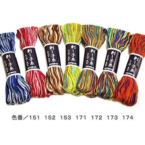 Sashiko # 171 - 100m Skein - color: 171