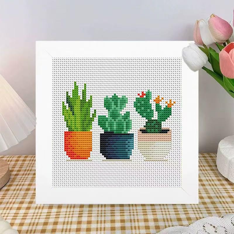 Tiwabb Succulent Stamped Cross Stitch Kits for Adults Beginners with Frame - color: Plant Cross Stitch with Frame