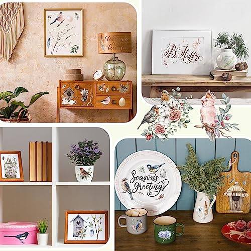 BBTO 12 Sheets Vintage Rub on Transfer for Craft Birdhouse Bird Decals - style: Bird