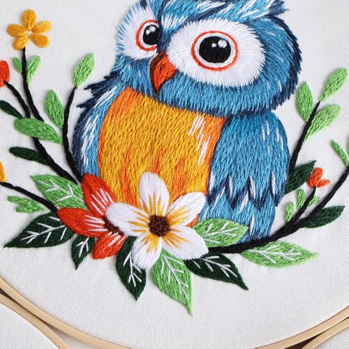 COCOMOX Embroidery Kit for Beginners, Hand Craft Practice Embroidery Kits - color: Owl pattern