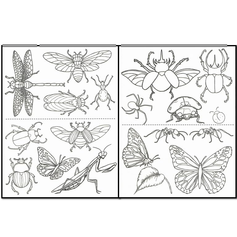 Water Soluble Embroidery Patterns Stabilizers, Stick and Stitch Embroidery Transfers Paper Tear Away Embroidery Stabilizer with Fun Designs for Stitching, Flowers and Animals (Girls and Flowers) - color: Large Bugs x2