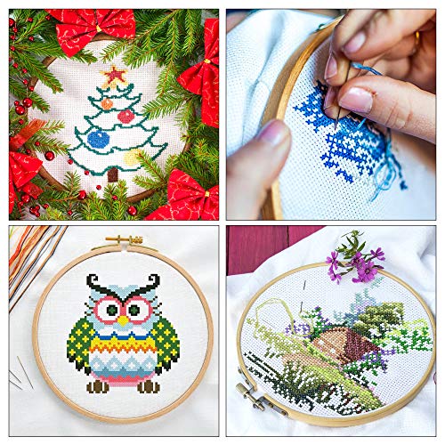 INSCRAFT 304 Pack Embroidery Kit, 200 Colors Threads, 5 Pcs Bamboo Embroidery Hoops, 2 Pcs Aida Cloth, Instructions, Bag and Cross Stitch Tools Set, Hand Embroidery Starter Kit for Beginners Adults