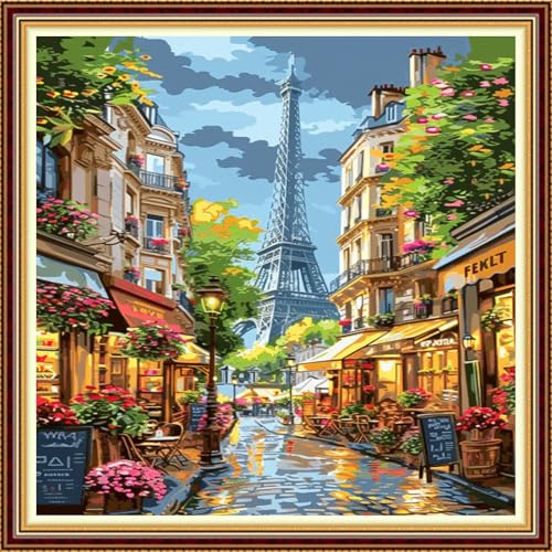 Fanxvivy Stamped Counted Cross Stitch Kits for Adults Printed Cross-Stitch Patterns 11CT Stamped or Counted Cross Stitching Embroidery Kit Needlepoint Kits-Eiffel Tower Street View 18x18 inch - color: Artkits12