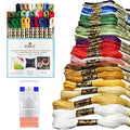 DMC Embroidery Floss Holiday Pack Bundle with Hand Needles Size 1-5.