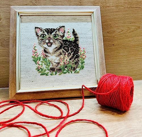 RIOLIS 2119 Bengal Kitten Counted Cross Stitch Kit 6 x 6 in - style: Bengal Kitten 2119