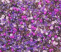 Perlin Glass Seed Beads 2mm 3mm 4mm Round Pony Beads Pack of 3000 Mixed Size, Colour Mix for Jewelry Making Earrings Bracelets Pendants Waist DIY Handmade (Purple) - color: Purple
