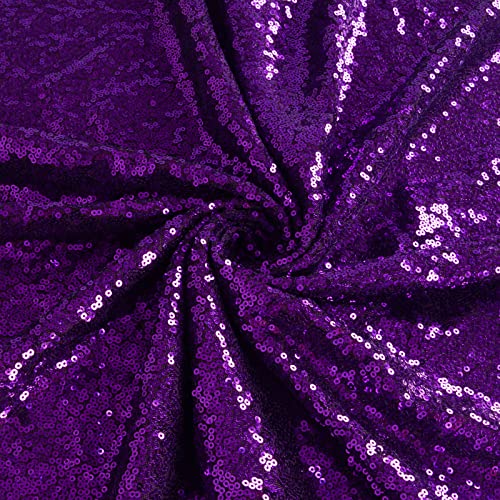 ShiDianYi Purple Sequin Fabric 30 Feet Sequin Fabric by The Yard 10 Yard Glitter Mesh Fabric Purple Material for Sewing Sparkle Fabric for Dress - color: Purple, size: 10 Yard