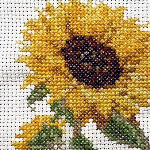DUTCH STITCH BROTHERS - Sunflower Counted Cross Stitch 6" Hoop and Pattern Included - Cross Stitching Kits for Adults Advanced and Beginners - color: DSB039 Aida