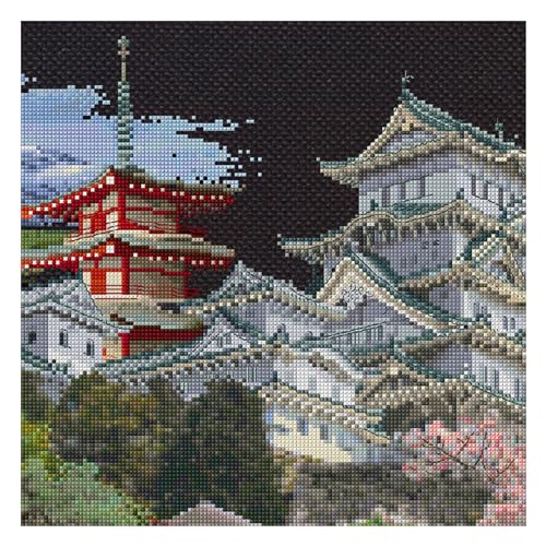Thea Gouverneur - Counted Cross Stitch Kit - Japan Black - Aida Black - 18 Count - Embroidery Kit for Adults - DMC Embroidery Threads and Other Cross Stitch Supplies Included - 548.05 - color: 548.05 Aida Black, size: 31.1 x 13.8 inch