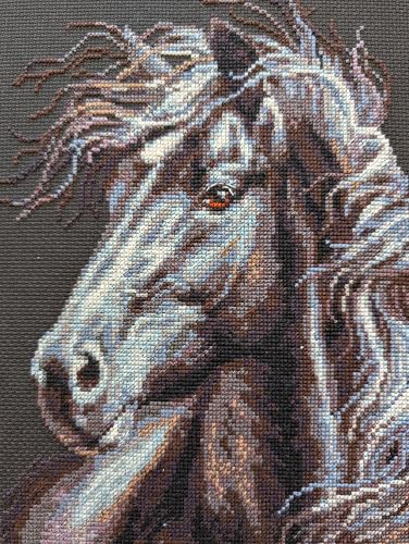RIOLIS - Breeze Through Mane 1494, Counted Cross Stitch Kit 11,81" x17,72, Black Horse Embroidery Kit, Cross Stitch Patterns for Adults with Horse, Cross Stitch Kits for Adults Advanced & Beginners - style: Breeze Through Mane 1494