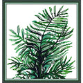 Svarog Stamped Cross Stitch Kits Beginners Full Range of Embroidery Patterns Starter Kits for Adult or Kids DIY Cross Stitches Needlepoint Kits 14CT-Green Plant（2） 12.2x12.6 inch - color: Green plant（2） 12.2x12.6 inch