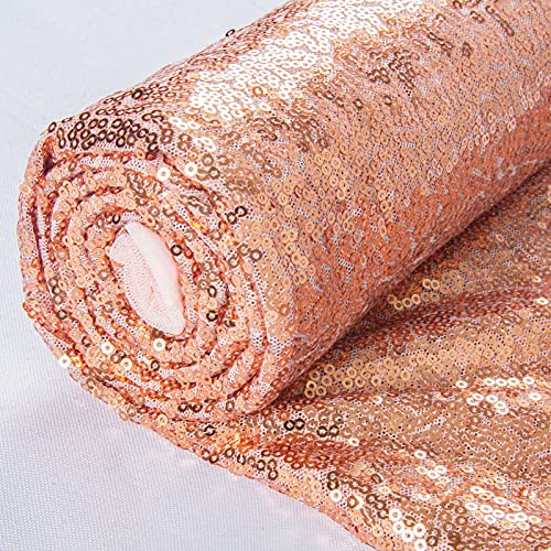 ShiDianYi 30 Feet Sequin Fabric by The Yard 10 Yards Rose Gold Sequin Fabric for Sewing Glitter Mesh Material Spakle Fabrics for Dress Rose Gold Sequin Backdrop - color: Rosegold, size: 10 Yard