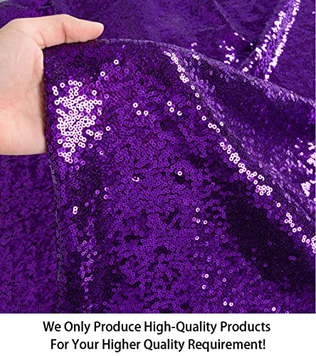 ShiDianYi 15 Feet Purple Sequin Fabric - 5 Yards Glitter Mesh Material for Dress, Backdrop - color: Purple, size: 5 Yard