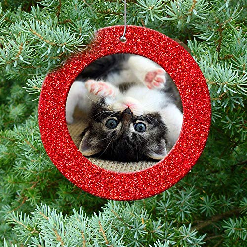 The Original Mini Glitter Photo Christmas Ornaments, Magnetic Easy-Load Picture Frame Ornament, Includes Photo Protectors Plus Hooks for Hanging, Round, Red 6-Pack - color: Red