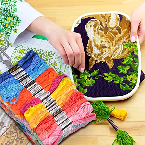 VICOVI 200 Skeins Embroidery Floss and 30 Skeins White & Black Embroidery Thread for Friendship Bracelet String Cross Stitch DIY String Art with 20 PCS Floss Bobbins - color: 200 multicolor + 30 White&Black