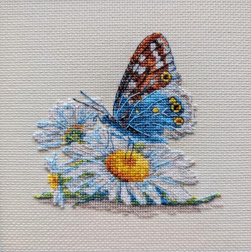 RIOLIS - Fragile Beauty 2220, Floral Cross Stitch Kits 6"x 6", Cross Stitch Kits for Beginners & Advanced, Crossstitching Kits Adult, Counted Stitching Kits, Butterfly Embroidery Kit - style: Fragile Beauty 2220