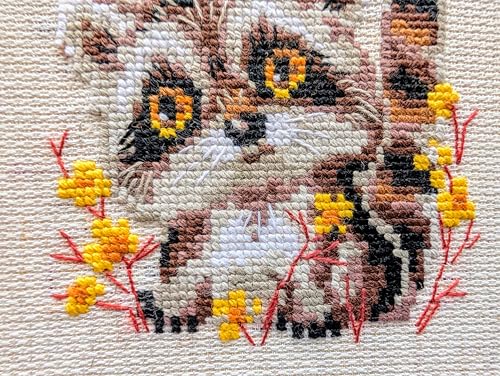 RIOLIS - Little Raccoon 1754, Cross Stitch Kits 5,12" x5,12, Cross Stitch Kits for Beginners & Advanced, Crossstitching Kits Adult, Counted Stitching Kits, Embroidery Kit - style: Little Raccoon 1754