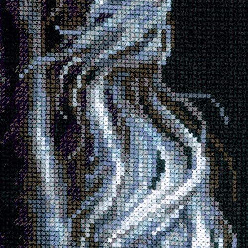 RIOLIS - Breeze Through Mane 1494, Counted Cross Stitch Kit 11,81" x17,72, Black Horse Embroidery Kit, Cross Stitch Patterns for Adults with Horse, Cross Stitch Kits for Adults Advanced & Beginners - style: Breeze Through Mane 1494