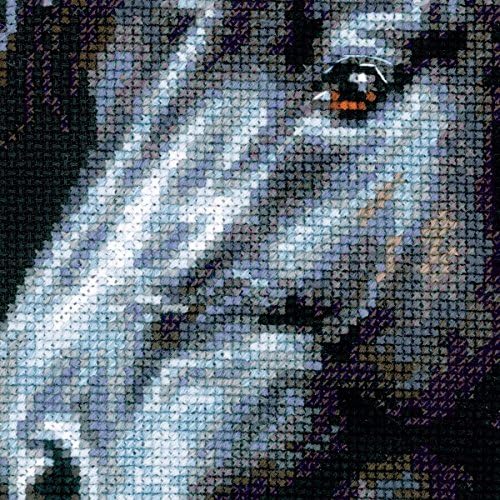 RIOLIS - Breeze Through Mane 1494, Counted Cross Stitch Kit 11,81" x17,72, Black Horse Embroidery Kit, Cross Stitch Patterns for Adults with Horse, Cross Stitch Kits for Adults Advanced & Beginners - style: Breeze Through Mane 1494