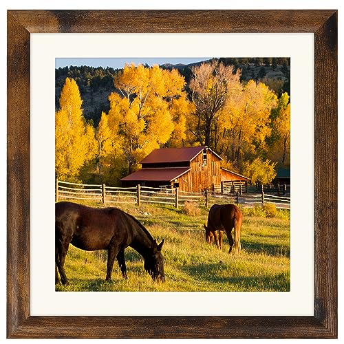 AEVETE Picture Frame 10x10 Dark Brown Photo Frames Rustic for Wall and Desk - color: Rustic Brown, size: 10x10