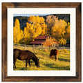 AEVETE Picture Frame 10x10 Dark Brown Photo Frames Rustic for Wall and Desk - color: Rustic Brown, size: 10x10