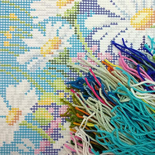Brvsk Floral Stamped Cross-Stitch Kit for Adults and Beginners — Meadow of Daisies 16″ × 16″ with Clear, Precise Printed Design on Cotton Canvas; Includes 2 Needles, Yarn, and Easy-Read Chart