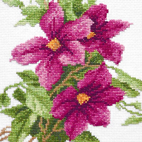 Povitrulya Clematis Flower Star of India Counted Cross Stitch kit - DIY Embroidery Set with Paper Floral Pattern and prestored Floss - color: Clematis