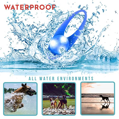 LaRoo LED Dog Collar Light - Waterproof Clip-On 3 Modes, High Visibility for Night Walking/Camping, Pet Safety Light for Small/Medium/Large Dogs (Blue) - color: Blue-A