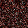 10g TOHO Seed Beads 11/0, Small Japan rocailles, #45A+T Hot Red Picasso Hybrid - color: 45A+T - 11/0 (small)