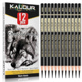 KALOUR Professional Charcoal Pencils Drawing Set -12 Pieces Soft, Medium and Hard Charcoal Pencils for Drawing, Sketching, Shading, Artist Pencils for Beginners & Artists - style: 12 Black Charcoal Pencils