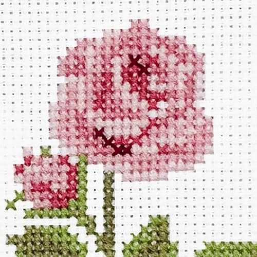 DUTCH STITCH BROTHERS - Rose Counted Cross Stitch 4" Hoop and Pattern Included - Cross Stitching Kits for Adults Advanced and Beginners - color: DSB030 Aida