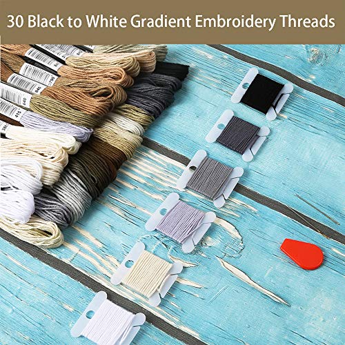 Pllieay 30 Skeins Friendship Bracelets Floss, Cross Stitch Threads - color: Black to White Gradient Grey