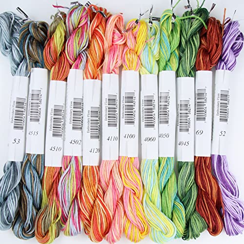 KCS Big skeins of 25 Meters Size 25 Color Variegated Cross Stitch Stranded Threads,12 skeins,14 - color: 12skeins14, size: 12 skeins