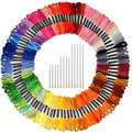Paxcoo 124 Skeins Embroidery Floss Cross Stitch Thread with Needles - color: 124 Colors