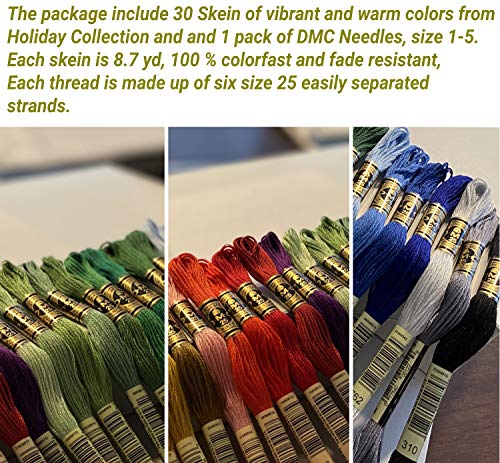 DMC Embroidery Floss Holiday Pack Bundle with Hand Needles Size 1-5.