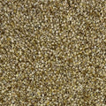 Miyuki Delica 11/0 Seed Beads - Glass Beads Bulk 5 Grams & Size 1.6mm 1000 Pieces Glass Seed Beads (DB2262) - color: DB2262