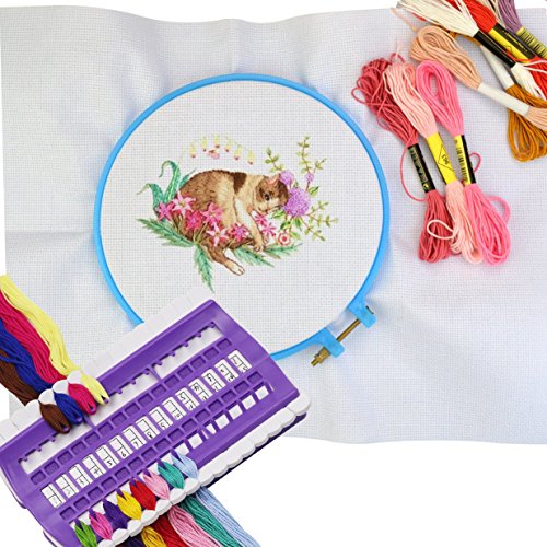 D&D Embroidery Floss Organizer, Plastic & Foam, Purple, 6.9 x 4.3 x 0.9 inches - color: purple
