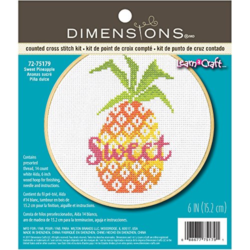 Dimensions Learn-A-Craft Sweet Pineapple Counted Cross Stitch Kit for Beginners, 6''