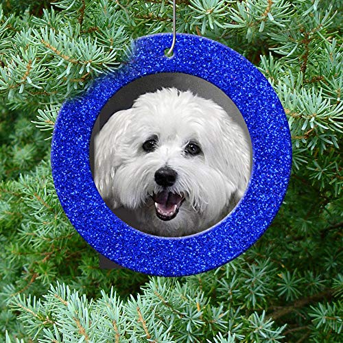 The Original Mini Glitter Photo Christmas Ornaments, Magnetic Easy-Load Picture Frame Ornament, Includes Photo Protectors Plus Hooks for Hanging, Round, Blue 6-Pack - color: Blue