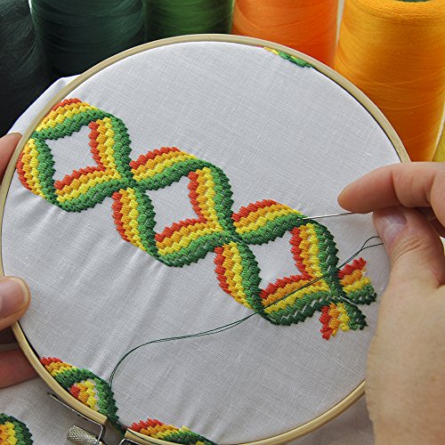 Pllieay 6 Pieces 6 inch Round Embroidery Hoops