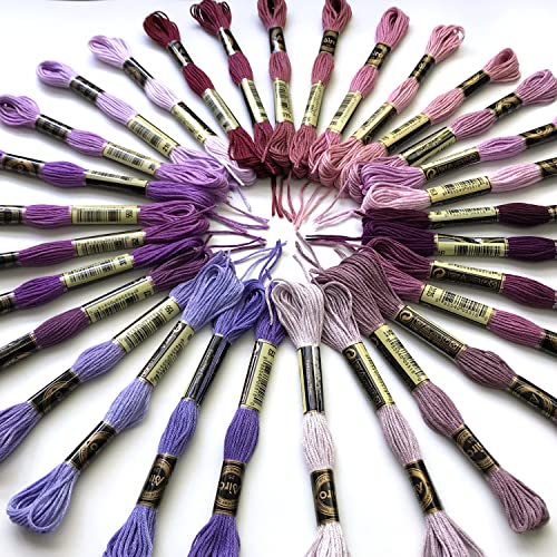 levylisa Embroidery Floss 30 Skeins Cross Stitch Threads Friendship Bracelets Floss with 10 Pcs Floss Bobbins and 2 Pcs Needle Threader (Purple) - color: Purple