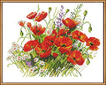 CaptainCrafts Cross Stitch Kits, New Stamped Kit Printed 11CT Fabric Cross Stitching DIY Art DMC Needlecrafts Embroidery Kit for Adults Beginner (Stamped, Flowers are in Full Bloom) - color: Flowers are in Full Bloom, style: Stamped