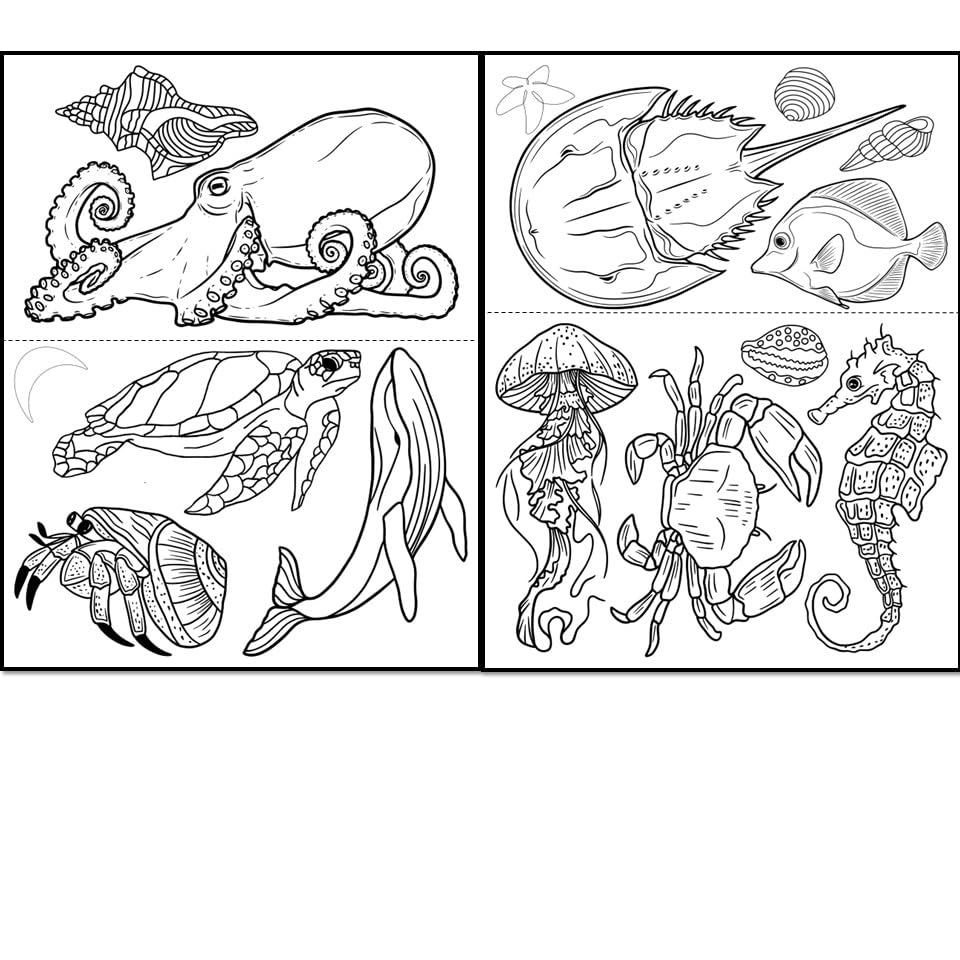 Water Soluble Embroidery Patterns Stabilizers, Stick and Stitch Embroidery Transfers Paper Tear Away Embroidery Stabilizer with Fun Designs for Stitching (Ocean) - color: ocean