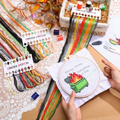 Daifunli 3 Sets Funny DIY Embroidery Kits for Beginners Adults - style: Classic