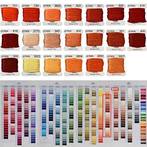 Premium Rainbow Color Embroidery Floss bobbins - Cross Stitch Threads - Friendship Bracelets Floss - Crafts Floss - 20 Bobbins Per Pack Embroidery Floss, Orange Gradient - color: 721-3827