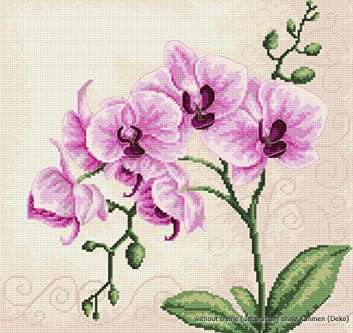 LUCAS-S Cross Stitch kit, AIDA Fabric, Green,Pink,White, 1